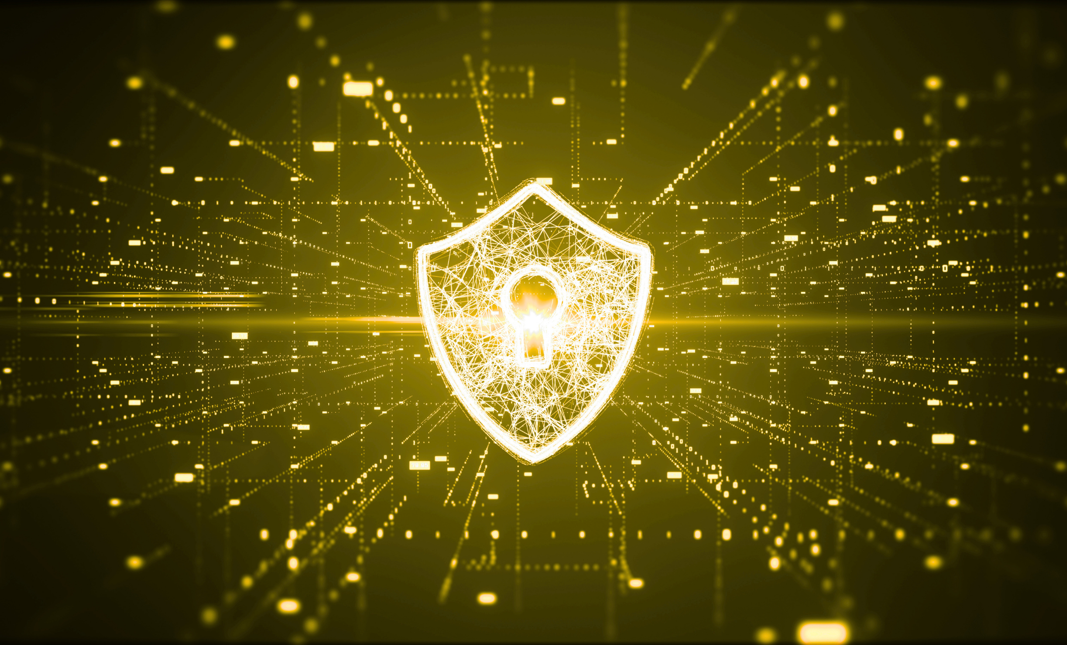 Canary Technology Solutions Pty Ltd Image